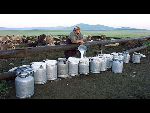 Γεωργία: Ανησυχία για την ασφάλεια των γαλακτομικών χωρίς ετικέτα