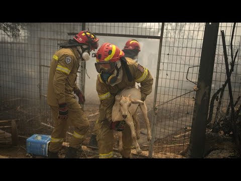 Ελλάδα: 75 δασικές πυρκαγιές σε ένα 24ωρο