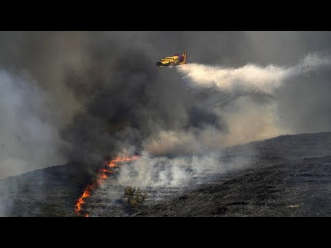 Ελλάδα: Αντιμέτωπες με 81 πυρκαγιές οι πυροσβεστικές δυνάμεις σε όλη τη χώρα…
