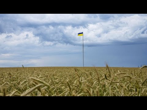Αμετακίνητη η Πολωνία για τα ουκρανικά σιτηρά- Επίκειται συνάντηση των υπουργών Γεωργίας