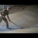 ΕΕ: Σχέδιο για επιβολή δασμών σε σιτηρά από τη Ρωσία και τη Λευκορωσία
