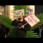 Νομιμοποίηση της κάνναβης στη Γερμανία: ένα ευρωπαϊκό δίλημμα;…