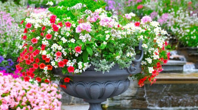 15 diy ιδέες για πολύχρωμες συνθέσεις σε γλάστρες