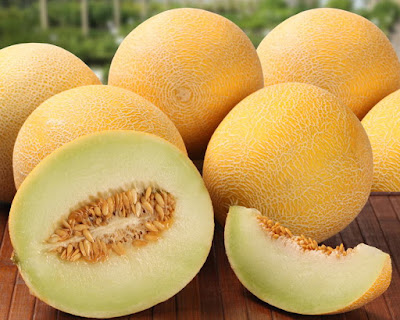 Πεπόνι muskmelon