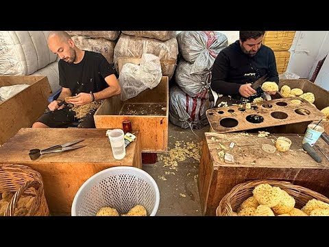 Καλύμνος: Οι νέοι συνεχίζουν την παράδοση των γονιών τους-Τα σφουγγάρια φτάνουν σε όλο τον κόσμο