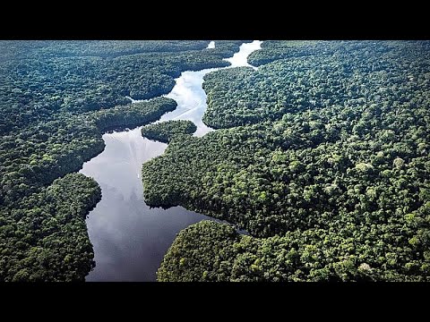 Ο Μερτς στηρίζει τη βραζιλιάνικη πρωτοβουλία για τη διάσωση των τροπικών δασών ενόψει της COP30