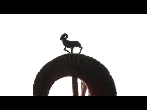 Πώς μια καζακική παράδοση στο κουκλοθέατρο γοητεύει νέες γενιές