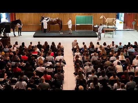 Το Ηνωμένο Βασίλειο θα ενταχθεί εκ νέου στο ταμείο κινητικότητας φοιτητών Erasmus+ της ΕΕ το 2027