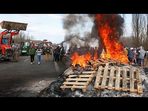 Περιεχόμενο τεχνητής νοημοσύνης μιμείται τις διαμαρτυρίες των αγροτών για να αυξήσει τα κλικ