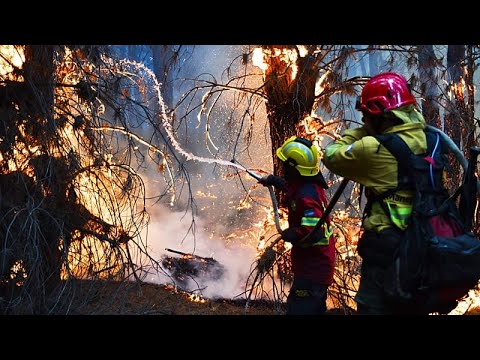 Αργεντινή: Πύρινος εφιάλτης στην Παταγονία – Πάνω από 150.000 στρέμματα έγιναν στάχτη