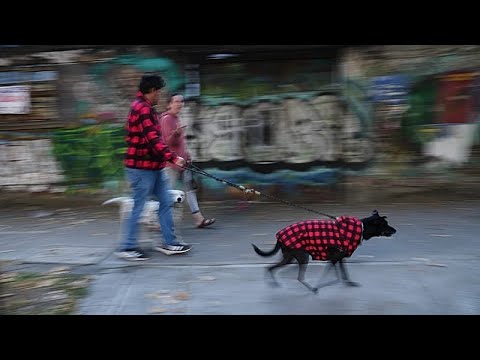 Σεισμός μεγέθους 6,5 βαθμών συγκλονίζει το νότιο και κεντρικό Μεξικό