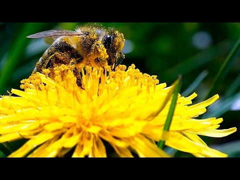 Βιώσιμος τουρισμός στην Ευρώπη: Πρωτοβουλίες που προστατεύουν φύση, κοινωνία και οικονομία