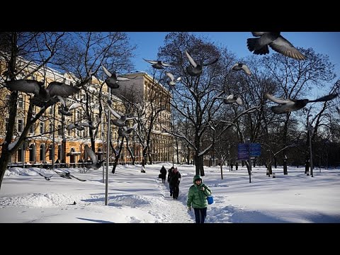 Η σφοδρότερη χιονόπτωση των τελευταίων 200 ετών καλύπτει τη Μόσχα, διαταράσσει την καθημερινή ζωή