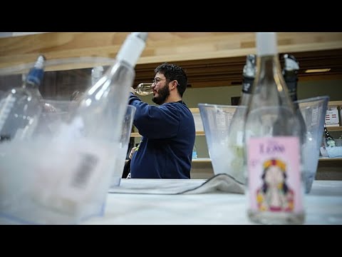 Κρασιά χωρίς αλκοόλ κατέχουν περίοπτη θέση στη διεθνή εμπορική έκθεση του Παρισιού