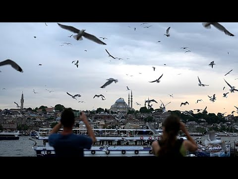 Δείτε: Γλάρος σώζεται με ΚΑΡΠΑ από αρχηγό ομάδας στην Κωνσταντινούπολη μετά από χτύπημα μπάλας