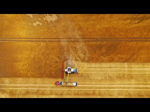 Κρίση με τα λιπάσματα στην Ευρώπη - Υψηλές τιμές λόγω πολέμου με το Ιράν και εξάρτηση από τη Ρωσία