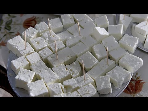 Ελλάδα: Η παραγωγή φέτας απειλείται σοβαρά από την ευλογιά των προβάτων - Η Θεσσαλία σε απόγνωση