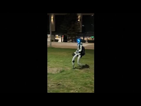 Ανθρωποειδές ρομπότ καταδιώκει αγριογούρουνα στην πολωνική πρωτεύουσα Βαρσοβία