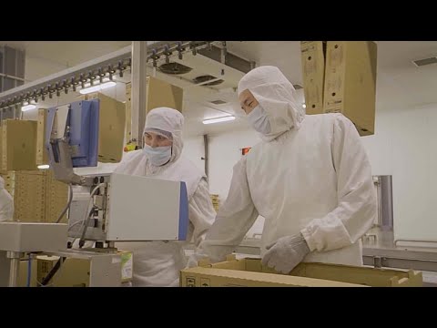 Πώς η χώρα αναπτύσσει περιφερειακό κόμβο επεξεργασίας τροφίμων