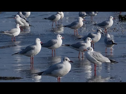 Κεντρική Ασία: Σχέδιο για ίδρυση διεθνούς οργανισμού νερού