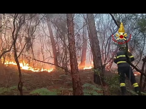 Ιταλία: Η πρώτη μεγάλη πυρκαγιά του έτους στην Τοσκάνη, στάχτη εκατοντάδες στρέμματα