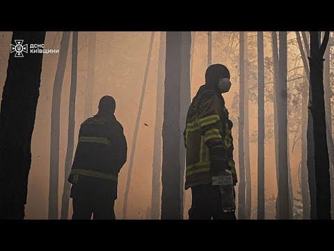 &Mu;&epsilon;&gamma;ά&lambda;&eta; &delta;&alpha;&sigma;&iota;&kappa;ή &pi;&upsilon;&rho;&kappa;&alpha;&gamma;&iota;ά &mu;έ&sigma;&alpha; &sigma;&tau;&eta; &laquo;&nu;&epsilon;&kappa;&rho;ή &zeta;ώ&nu;&eta;&raquo; &tau;&omicron;&upsilon; &Tau;&sigma;&epsilon;&rho;&nu;&omicron;&mu;&pi;ί&lambda;