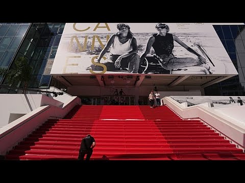 &Phi;&epsilon;&sigma;&tau;&iota;&beta;ά&lambda; &Kappa;&alpha;&nu;&nu;ώ&nu;: &Alpha;&sigma;&tau;&upsilon;&nu;&omicron;&mu;&iota;&kappa;&omicron;ί &sigma;&kappa;ύ&lambda;&omicron;&iota; &sigma;&epsilon; &alpha;&nu;&alpha;&zeta;ή&tau;&eta;&sigma;&eta; &nu;&alpha;&rho;&kappa;&omega;&tau;&iota;&kappa;ώ&nu;