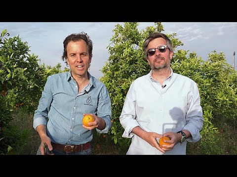 CrowdFarming: &eta; &pi;&lambda;&alpha;&tau;&phi;ό&rho;&mu;&alpha; &pi;&omicron;&upsilon; &theta;έ&lambda;&epsilon;&iota; &nu;&alpha; &tau;&rho;έ&phi;&epsilon;&iota; &kappa;&alpha;&lambda;ύ&tau;&epsilon;&rho;&alpha; &tau;&eta;&nu; &Epsilon;&upsilon;&rho;ώ&pi;&eta;